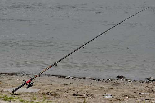 fish fishing angler riverbank rod gear water leisure recreation sand