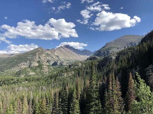 coniferous hillside mountains forest alpine mountain aspen snow landscape conifers peak 