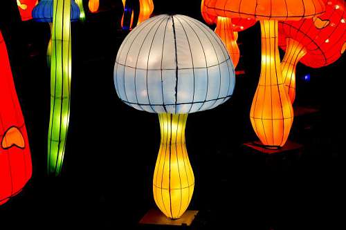 mushroom lamp colorful chinese asian mushrooms bright luminescence abstract