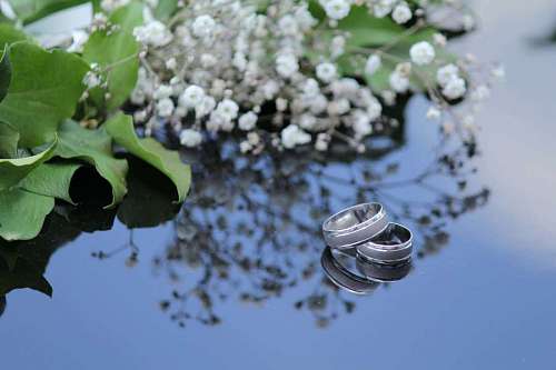 platinum platinum rings jewelry gold metal flower plant ring silver kb