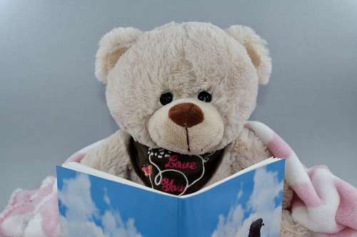 teddy-bear reading teddy toy reader bear gift toys winter fun