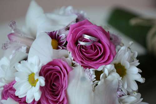 significance rising bouquet decoration ring popularity same flowers gifts arrangement roses flower rose