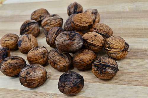 walnut-tree walnut brown wood nutrition fruit seed snack health kb