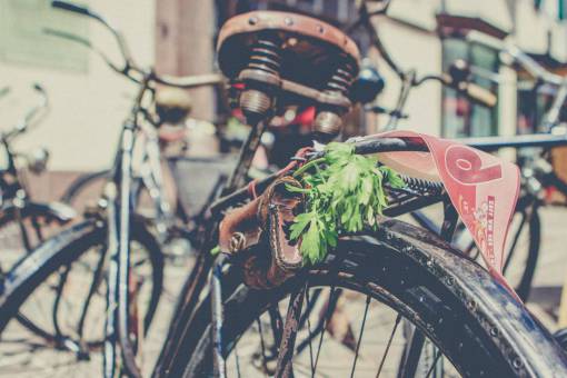 billete Neumático de bicicleta viejo verde oxidado hojas de cuero