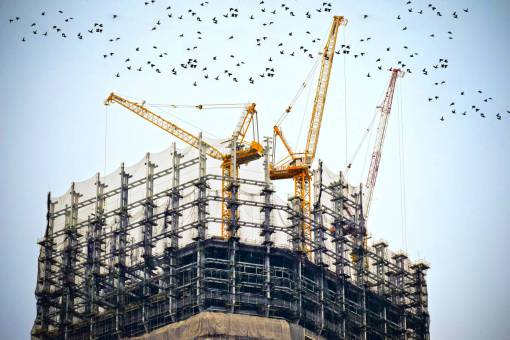 aves edificio construcción grúas torre inmobiliario cielo pájaros