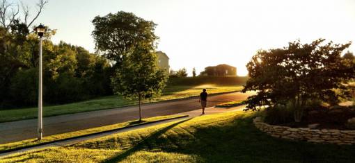 people  man  walking  alone  sunlight  sunny  sunrise