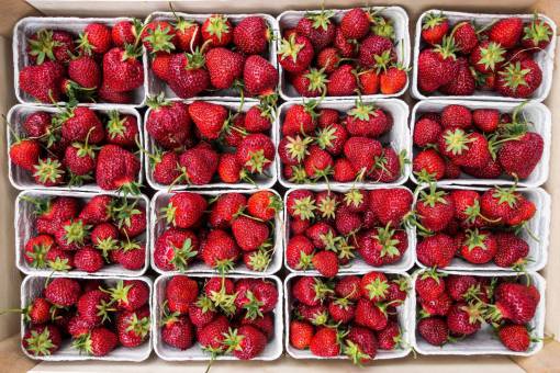 strawberries red  strawberries  fruits  food  healthy  baskets  market