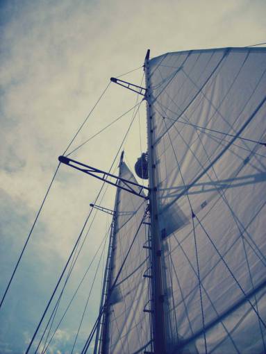 boating-activity sailboat  sals  mast  boating  sky
