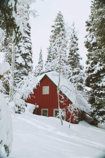 barn snow  winter  white  cold  weather  ice  trees