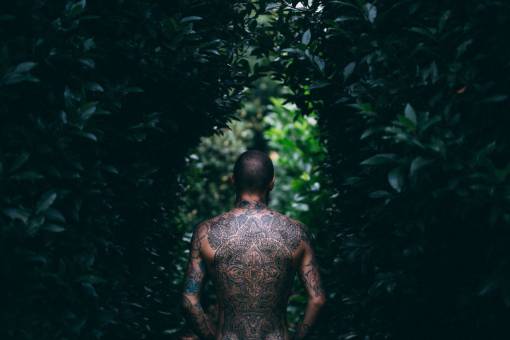 cuerpo árbol verde planta al aire libre naturaleza gente chico