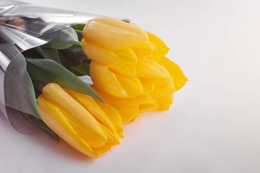 tulip yellow  petal  flower  bouquet  tulip 
