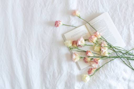 manana cama flores libro luz acogedor mañana relajarse