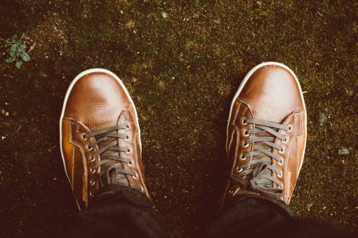 footwear brown  leather  shoes  footwear  travel  man
