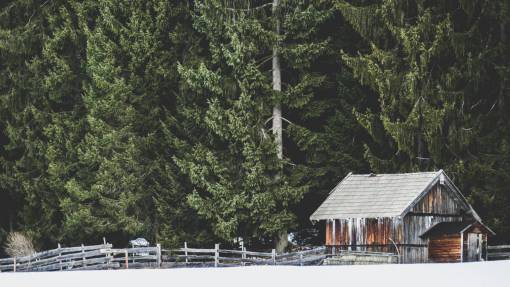 barn cabin  house  home  barn  fence  woods  forest