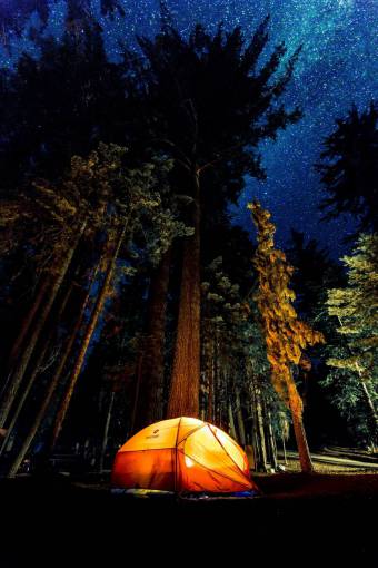 serene-people Camping tent at night in a forest with starry sky