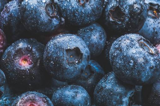 comidas primer plano naturaleza comida frescura arándanos azul fondos