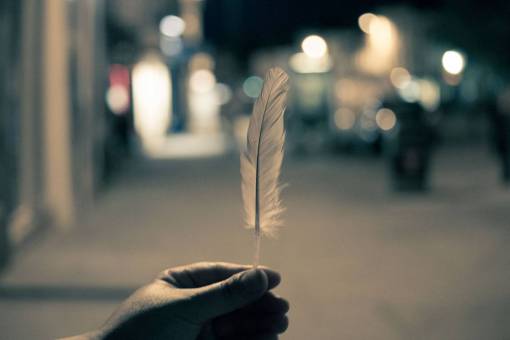 pluma manos de plumas luces de la noche ciudad borrosa