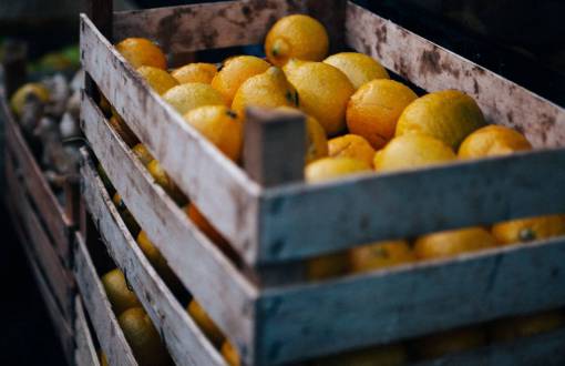 cropped fruits  lemon  basket  market  crops  orange  produce
