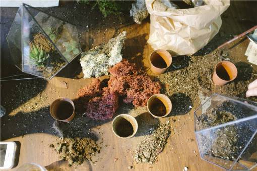 suelo jardinería macetas plantas suelo