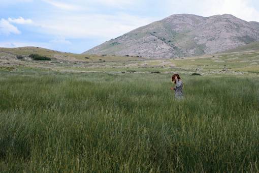 grassland green  grass  highland  grassland  landscape  nature  mountain