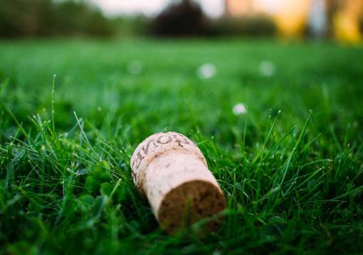 green  grass  lawn  field  corks  nature  blur