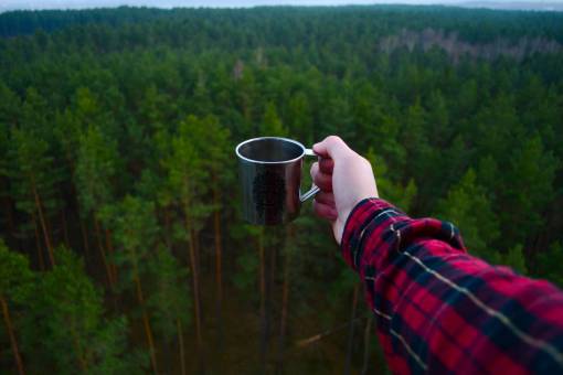 mug green  plant  nature  forest  arm  hand  mug