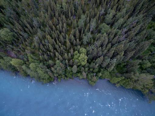 antena lago río agua árboles bosque bosques naturaleza