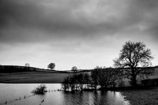 pond moody  landscape  sky  clouds  weather  trees  field