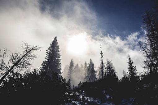 mountain  clouds  sky  fog  dark  pine tree  trees
