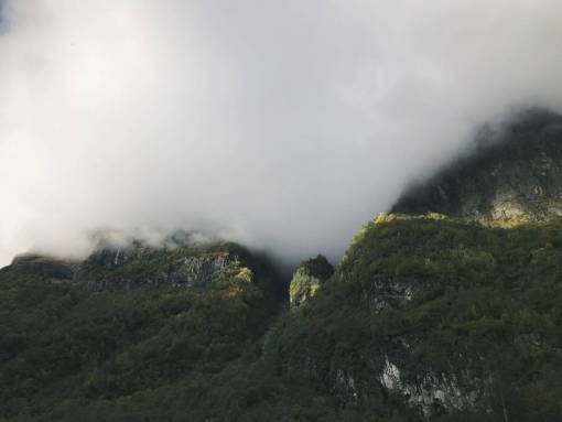 árboles de montaña planta naturaleza paisaje bosque nieblas