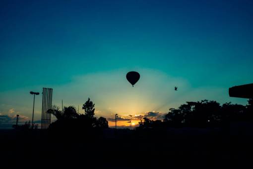 nature  landscape  parks  trees  hot  air  balloon
