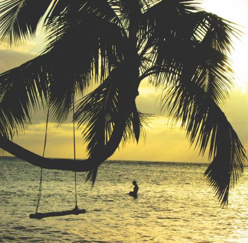 columpio palmeras columpio océano mar agua playa tropical