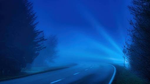 rural-scene Road curve at night with fog