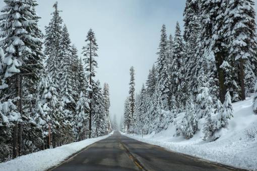 azul invierno nieve frío invierno árboles bosque camino carretera