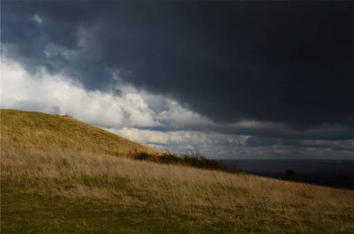 cloudy-day storm  clouds  cloudy  dark  grey  field  grass
