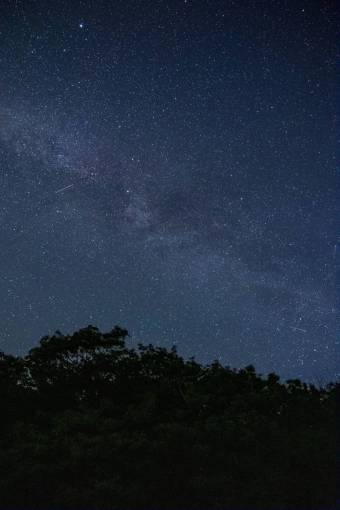 galaxia árbol noche cielo estrellado galaxia espacio árboles
