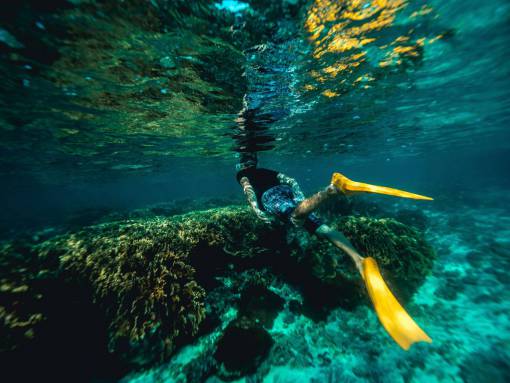 snorkeling uderwater  travel  snorkeling  sea  diver  ocean  water