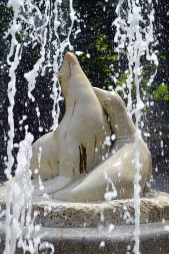 sculpture water  fountain  garden  sculpture  animal  seal  marble