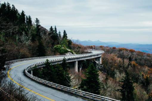 autopista carretera sinuosa autopista campo rural árboles bosque