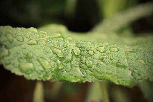 detalle gotas de agua detalles condensación de gotas de lluvia
