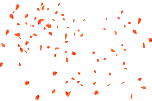  abstract Flower Petals Background illustration Overlay PNG backgrounds pattern