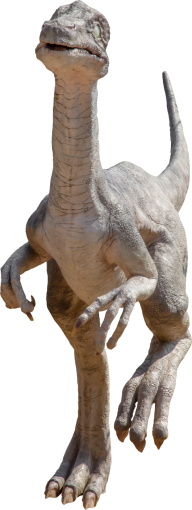 dinosaur  Velociraptor PNG Dinosaur 