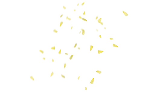 vector  backgrounds design Flower Petals Background Overlay PNG vector illustration