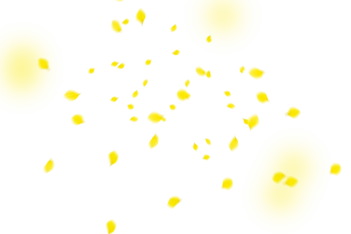  backgrounds Flower Petals Background PNG Overlay vector illustration yellow