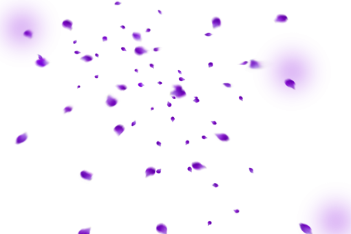 drop  backgrounds purple Overlay illustration vector PNG Flower Petals Background