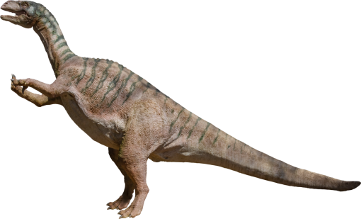 extinct  dinosaur Overlay velociraptor Dinosaur PNG