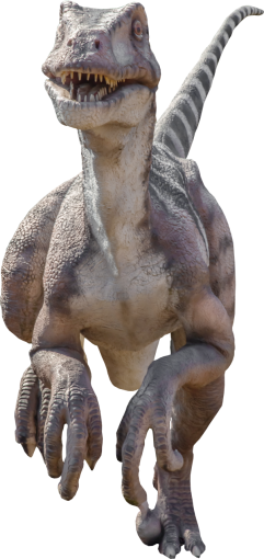 extinct  Dinosaur PNG velociraptor