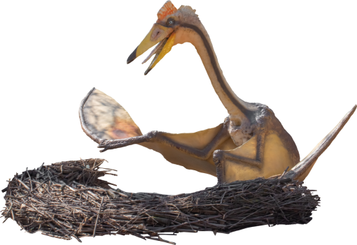 dinosaur Pterodáctilo Dinosaur Overlay PNG