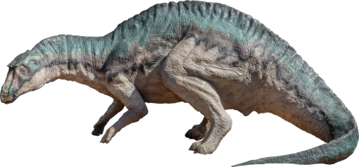 dinosaur  Dinosaur PNG reptile animal Overlay nature