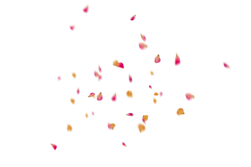 vector  Flower Petals Background design PNG Overlay backgrounds vector illustration